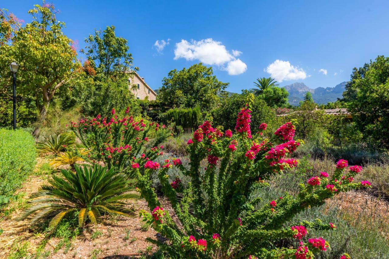 Finca Ca'S Curial - Agroturismo - Adults Only Sóller Esterno foto