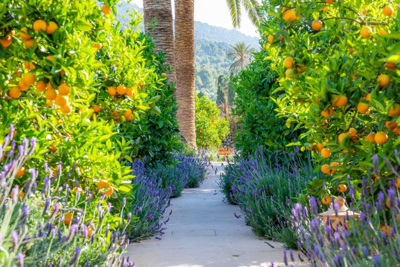Finca Ca'S Curial - Agroturismo - Adults Only Sóller Esterno foto