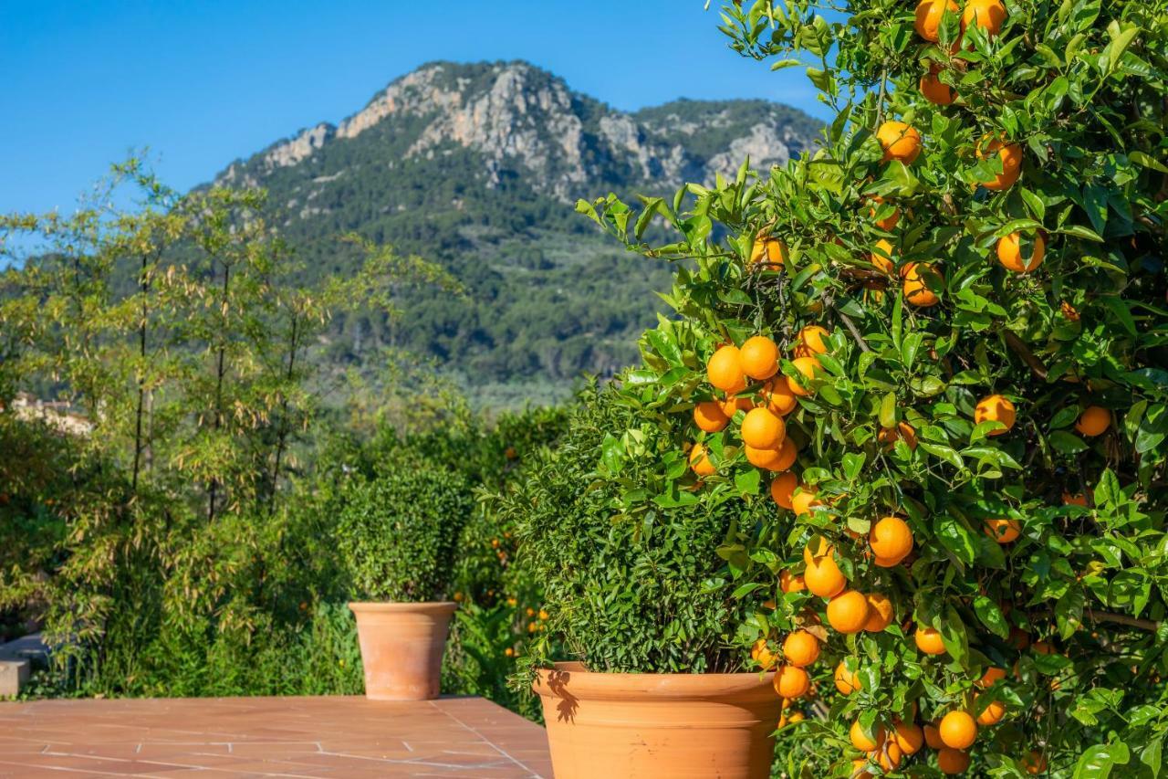 Finca Ca'S Curial - Agroturismo - Adults Only Sóller Esterno foto