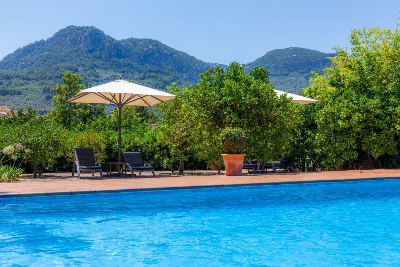 Finca Ca'S Curial - Agroturismo - Adults Only Sóller Esterno foto